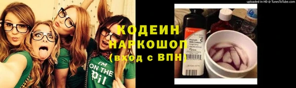 крисы Горняк
