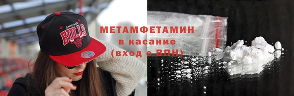 крисы Горняк