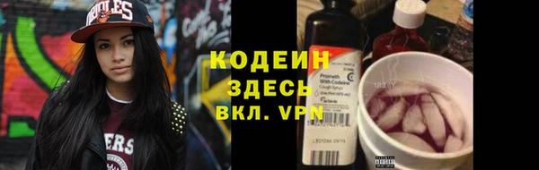 крисы Горняк