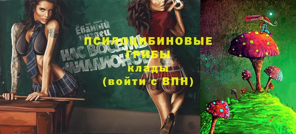 крисы Горняк
