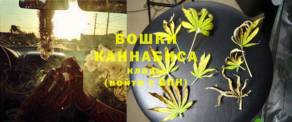 крисы Горняк