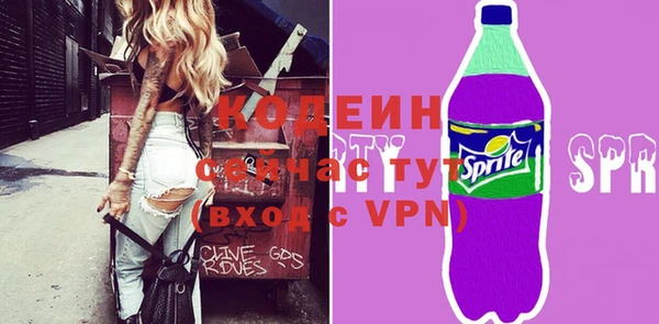 крисы Горняк