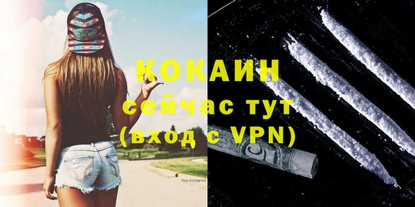 крисы Горняк