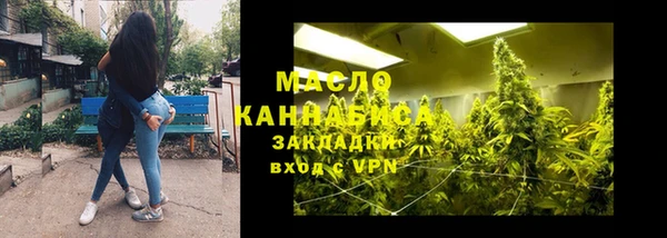 крисы Горняк